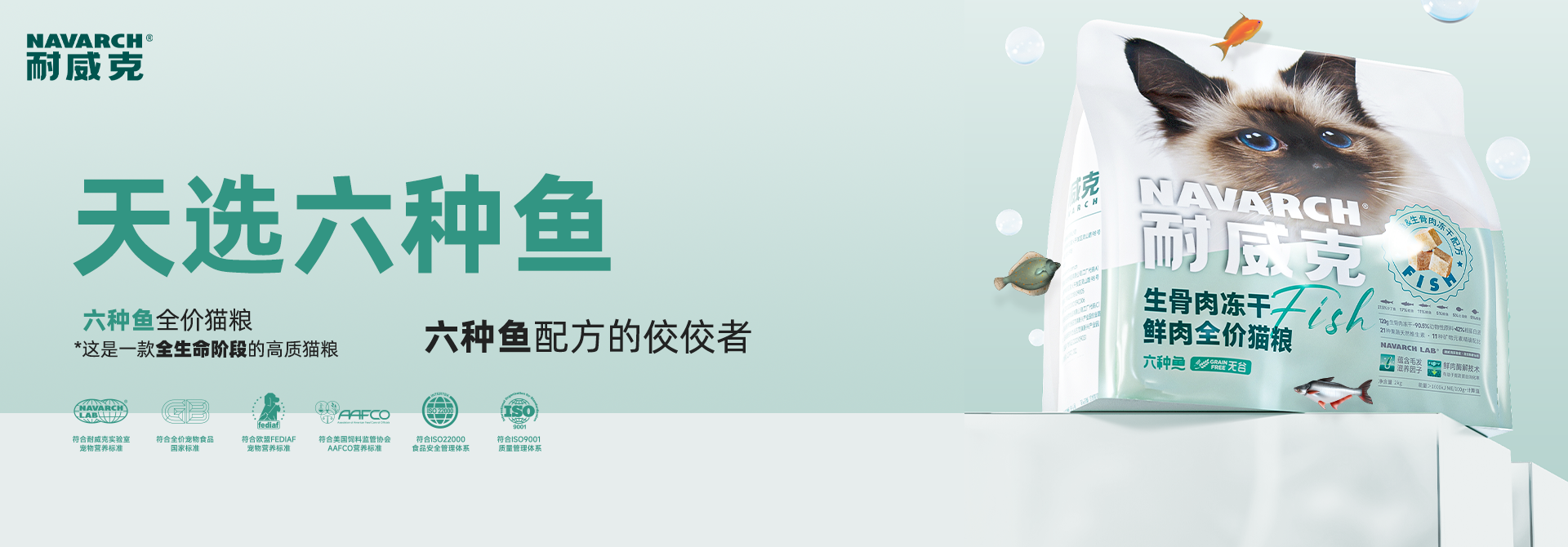 首页Banner2